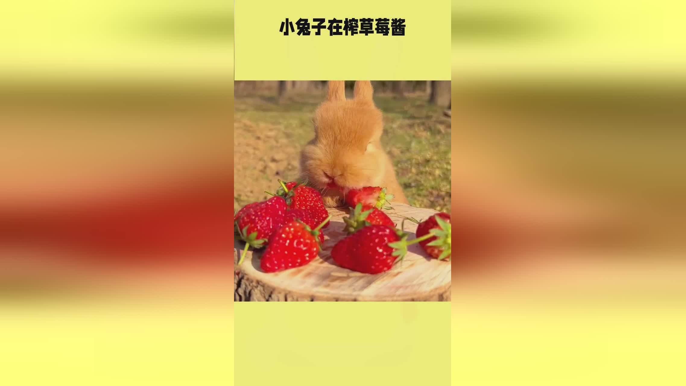 中国能看的外网视频网站