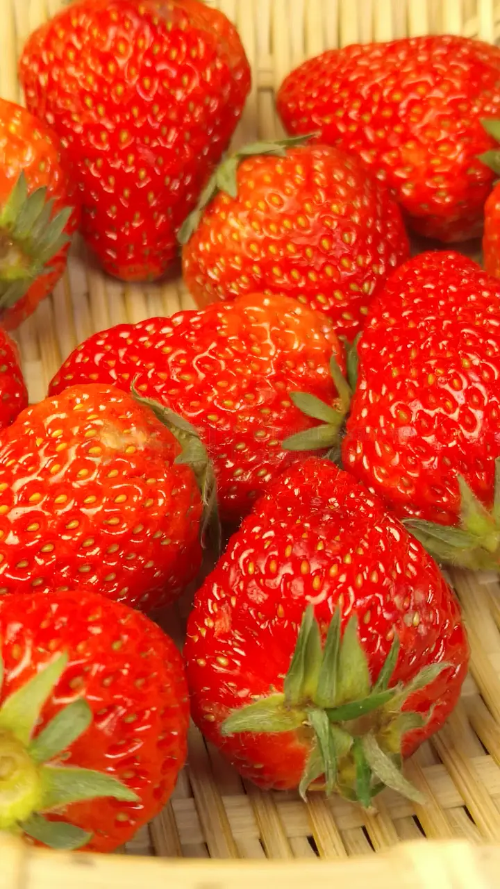 49视频 明确的视频关键词进行搜索