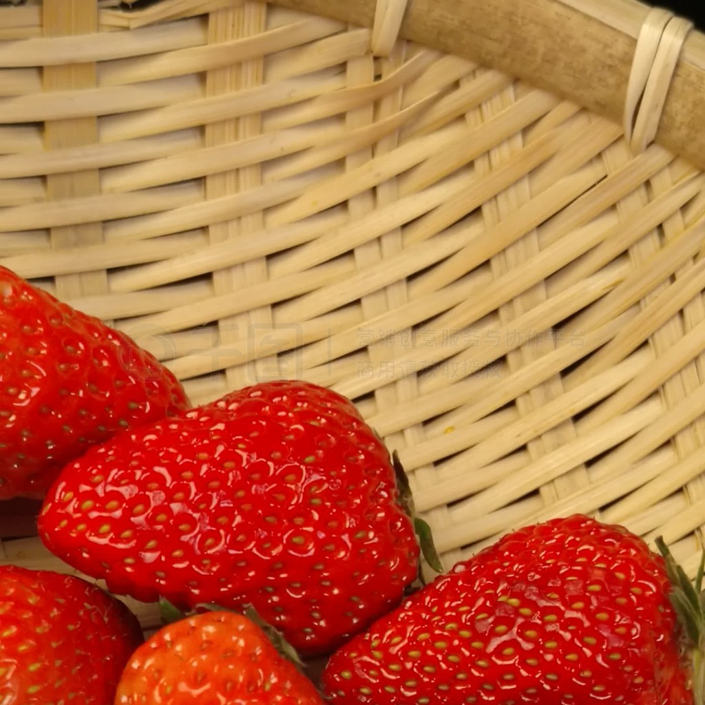 免费看剧 支持关键词搜索和按类型筛选