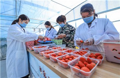 榨精小护士互动电影