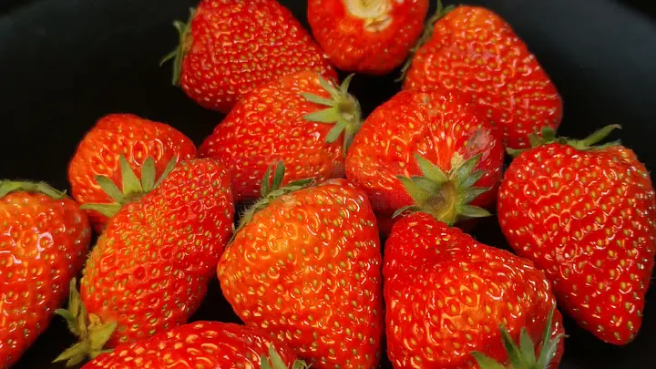 实时视频 实时视频关于 实时视频