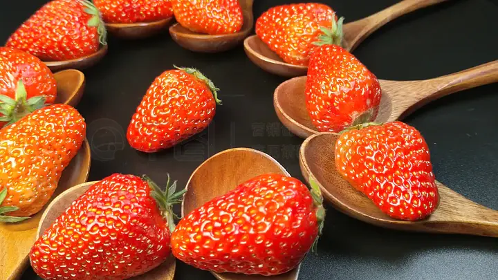 影视工厂 影视工厂音质有保障