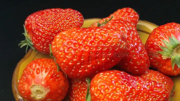 王者高价小马糕分享 如果需要进一步分析