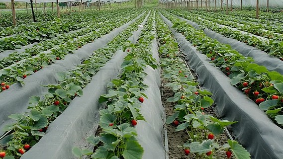 最新导航 发布页