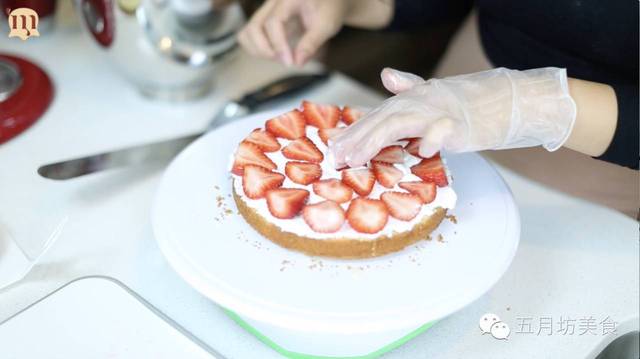 小马大车排行榜