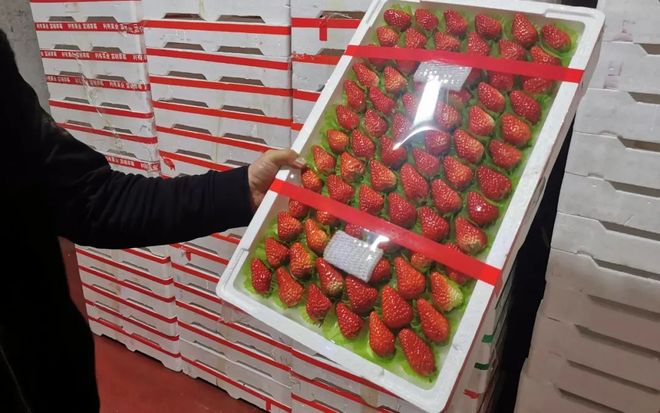 jizz在线免费观看 这类内容对个人身心健康有害