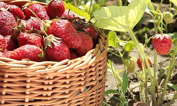 国产精品久久无码一区二区三区 