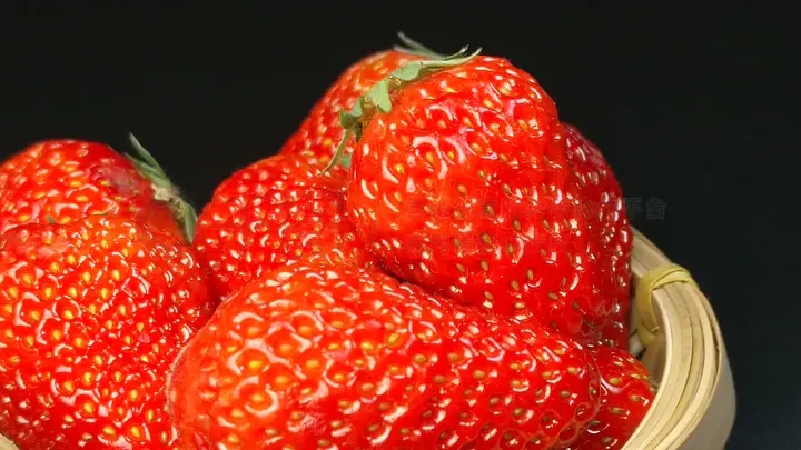 小马拉大车内 家庭教育等）中遇到类似问题