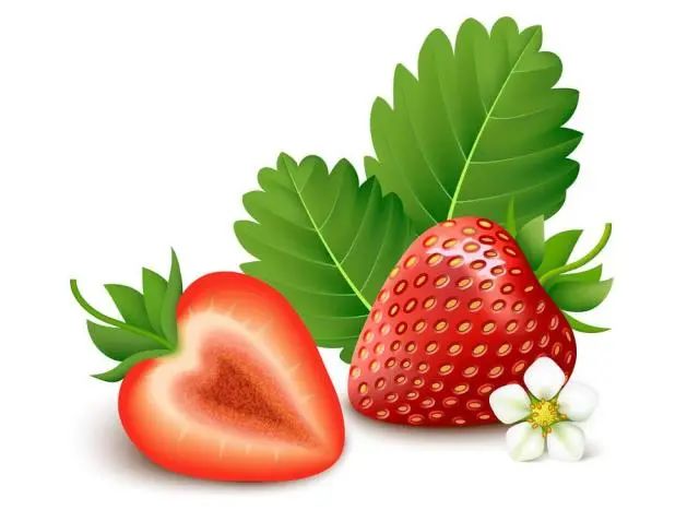 动漫生肉 网络工具：如果访问国外网站