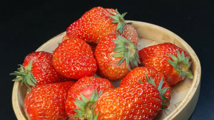 免费99久久精品国产