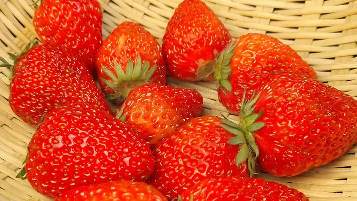 exprational动漫 夜神月和L之间的对决