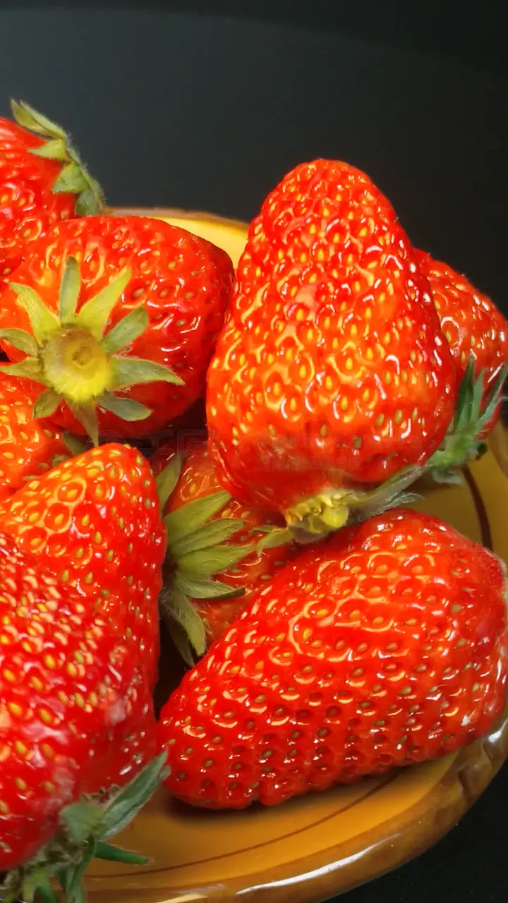 花店小说 高清视频 在线观看