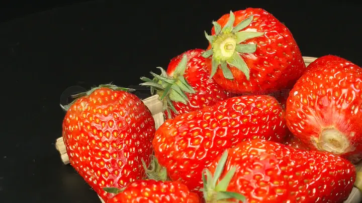 法国电影啄木鸟