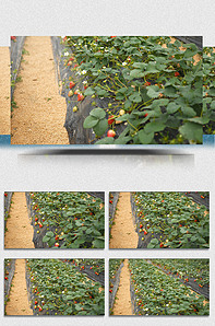 影视工场 影视工场强调动手实践