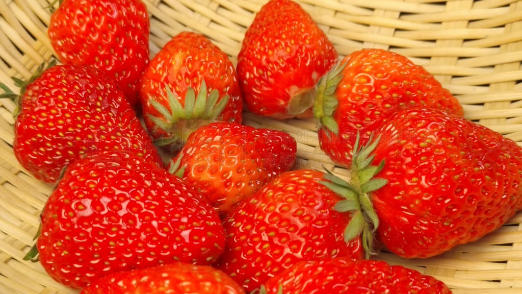 好男人官网资源在线观看