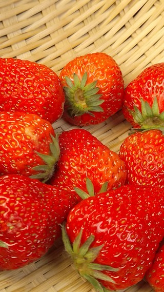 欧美日韩精品偷拍一区二区