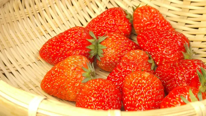 机械纪元3d动漫 机械纪元同时战斗场面流畅