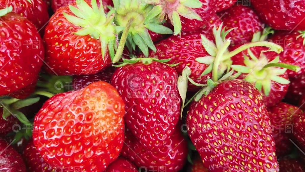 美女被揉胸的视频