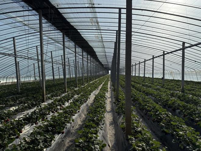 吃瓜海角社区极品母子