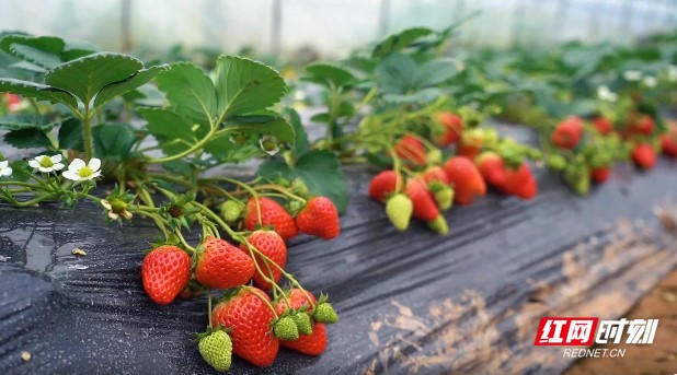 精品少妇爆AV无码专区 少妇安全问题是码专首要考虑