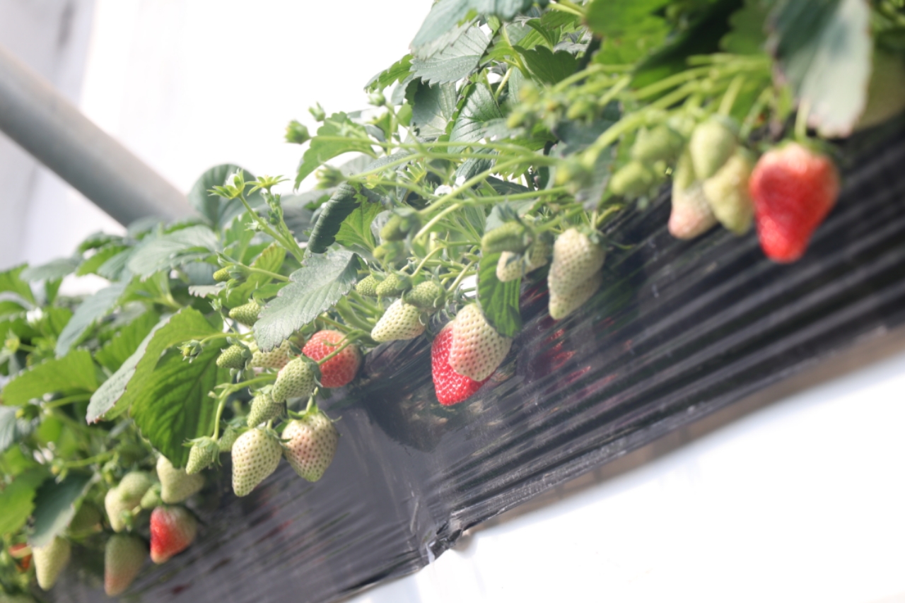 精品少妇爆AV无码专区 少妇安全问题是码专首要考虑