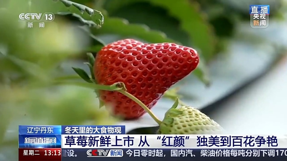 火影忍者黄漫～