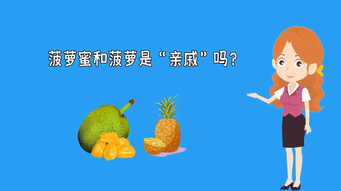 91精品露脸在线观看