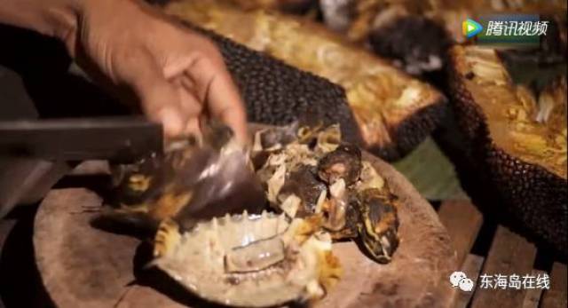 91精品露脸在线观看