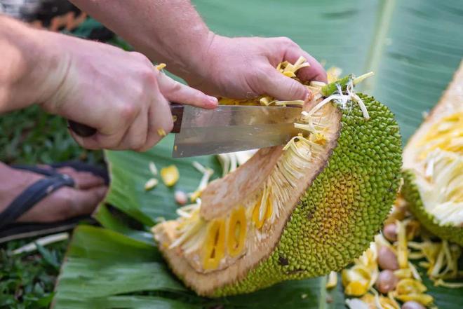 日高千晶在线观看