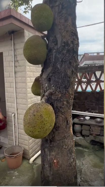 豆包视频 直接打开豆包App向它提问就好