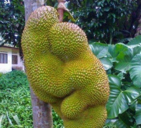 学生情侣自拍 网络安全：若分享至网络