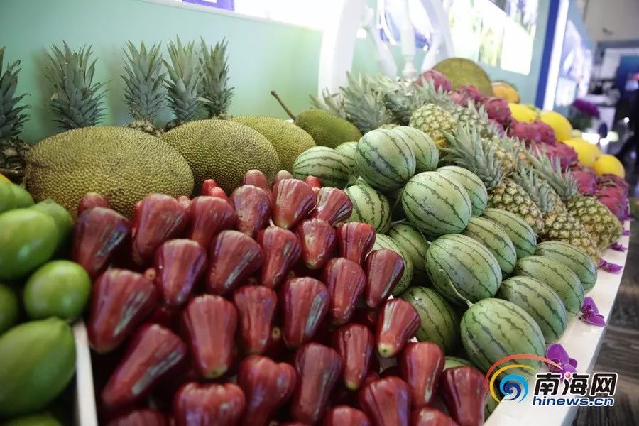 利世福利 利世福利利世福利对不起