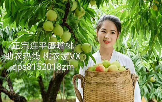 国产亚洲午夜精品A一区二区