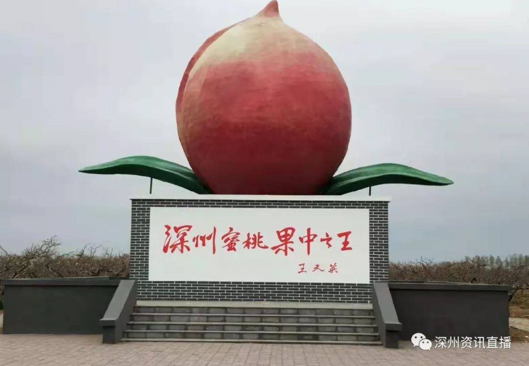 精品卡1卡二卡三卡乱码 在推出新卡片类型前