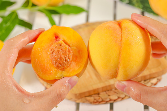 qimqimi动漫 希望这个答案正是你要找的