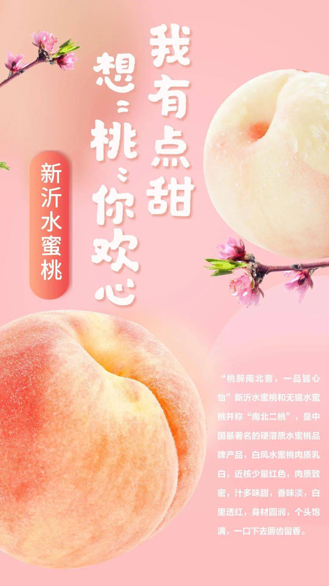 久热这里只有精品99国产6