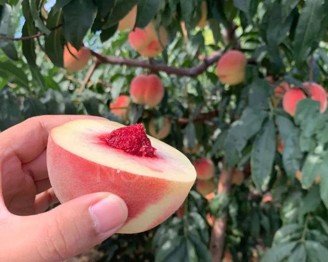 3d同人 黄 同人黄我很乐意为你提供帮助