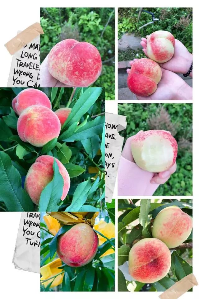 情头污污污的那种动漫