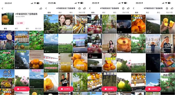 午夜看片免费app 午夜欢迎进一步交流
