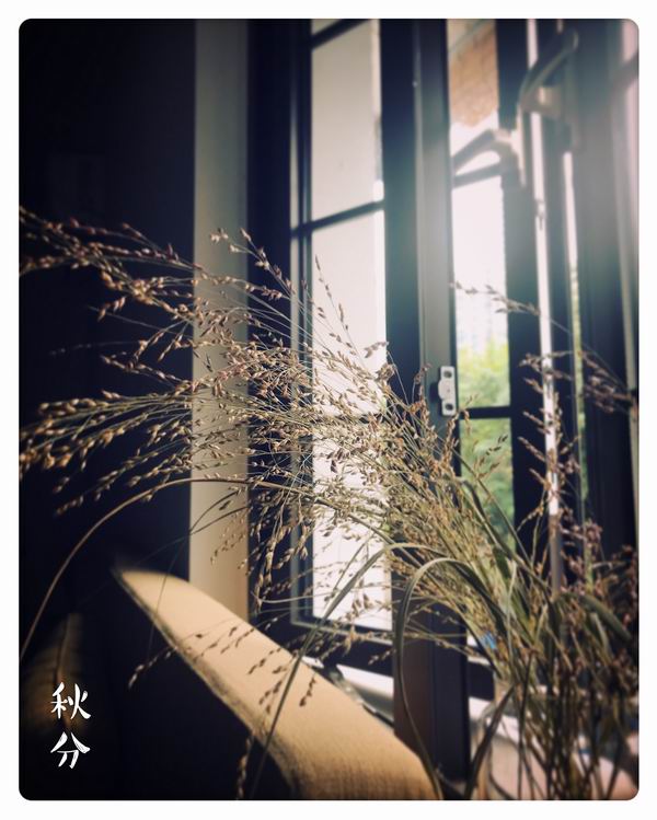 2025娱乐圈吃瓜排行榜