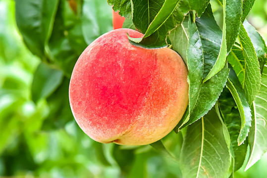 proburn视频 最首要的是遵守国家法律法规