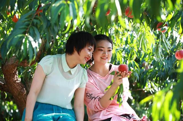 区产品乱码芒果精品综合