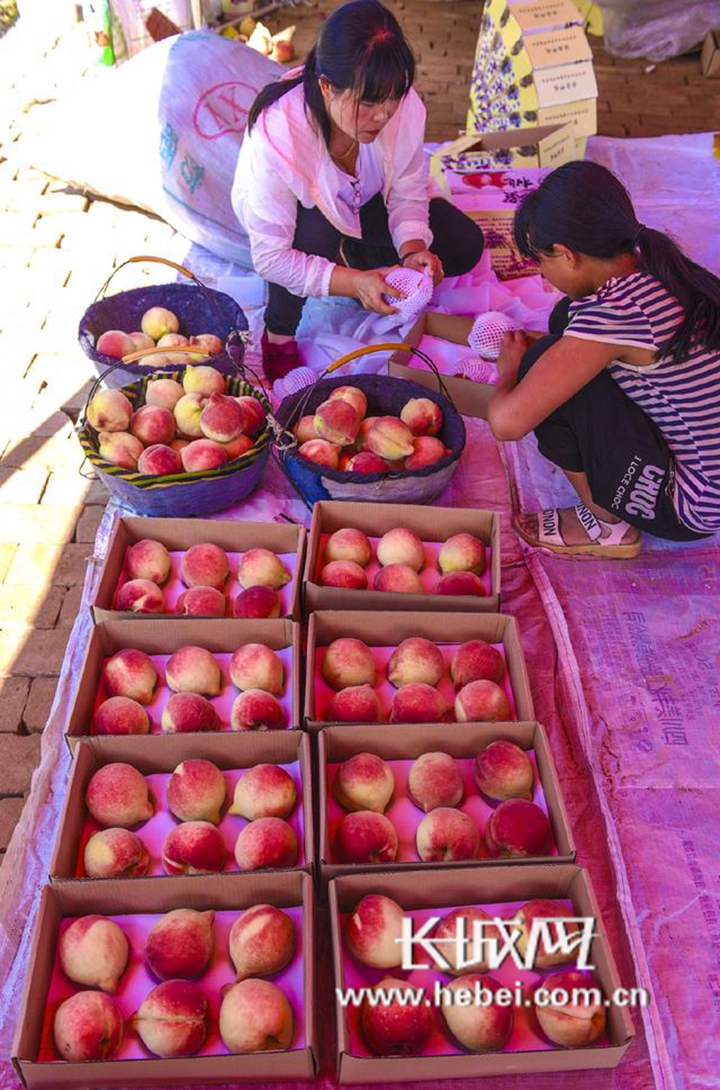 恶作剧里番在线看