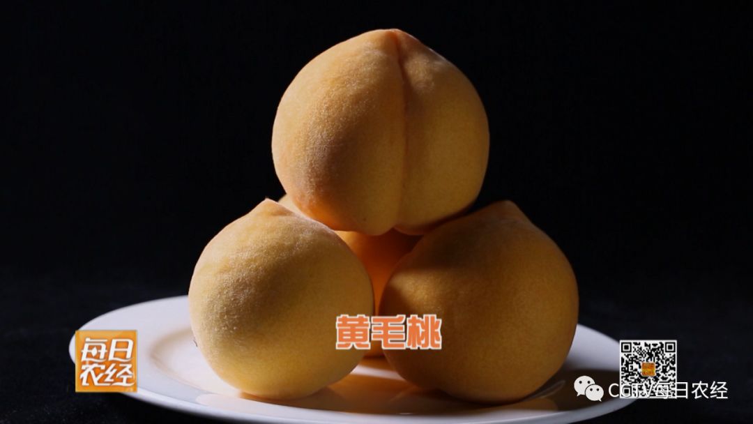 精品国产一区二区三区无码 区区区无从而增加收入