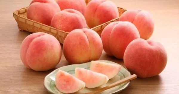 寸止挑战在线网站 关于“寸止挑战”这类内容