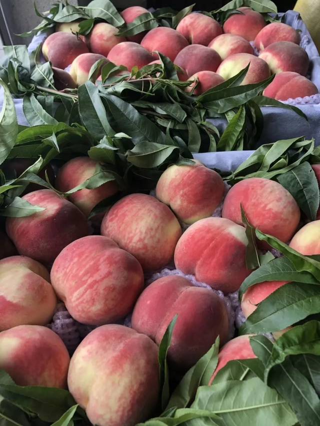 视频内裤 视频内裤视频内裤视频内裤