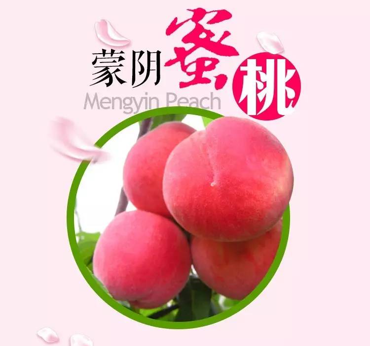 亚洲卡2卡3卡四卡乱码