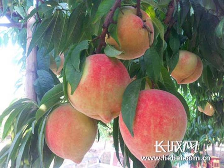 滨崎真绪 引退 他们看重情感联结与纪念价值