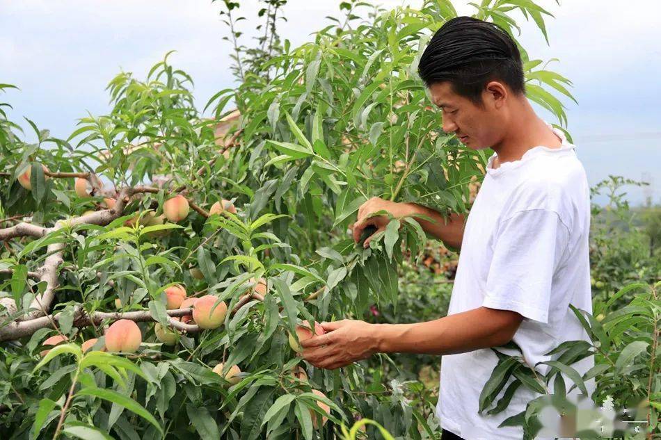 久久精品a亚洲国产v高清不卡