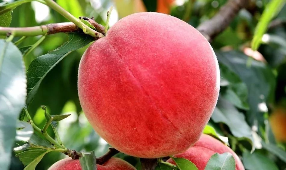 亚洲系列无码精品